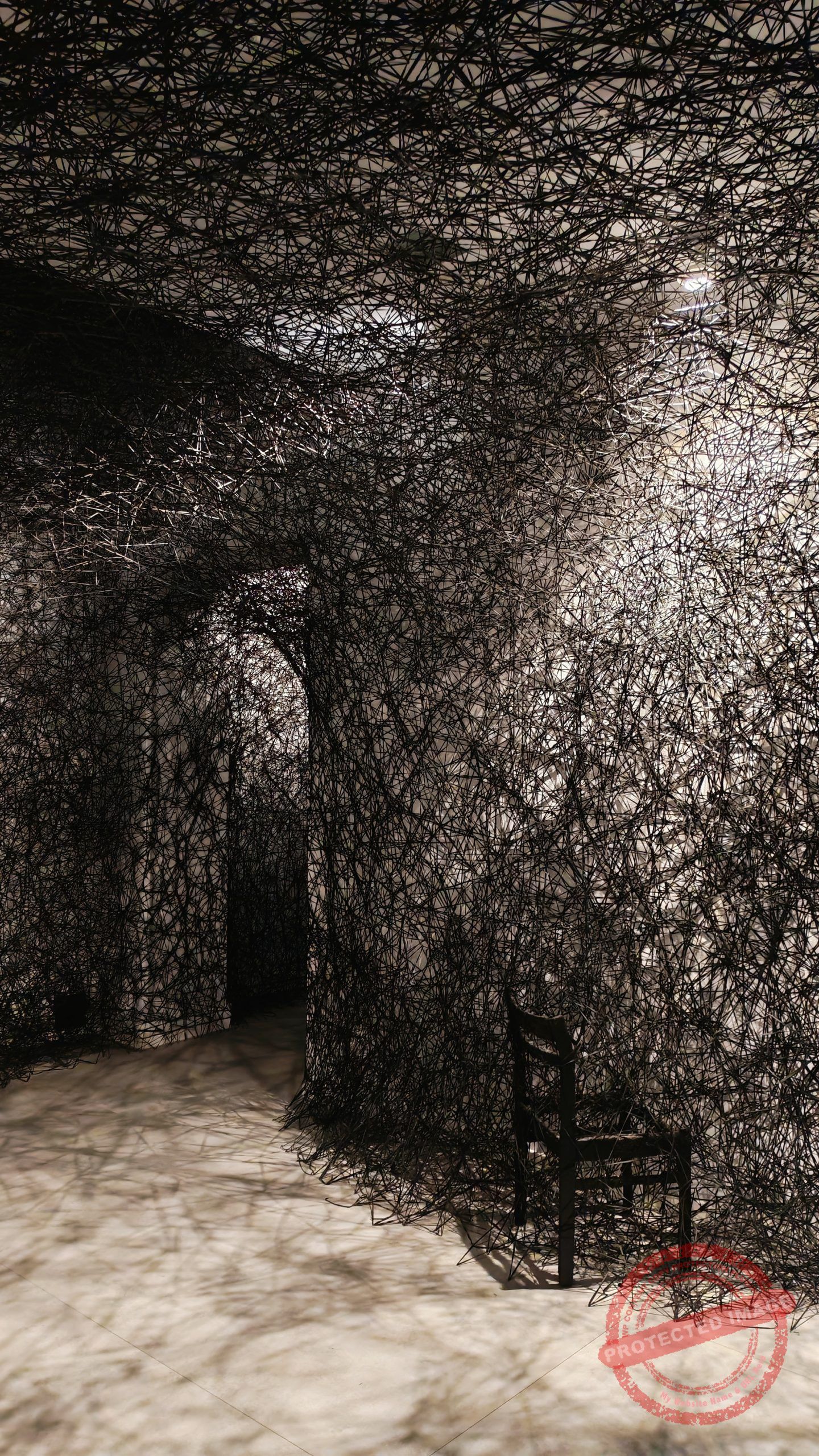 MOSTRA CHIHARU SHIOTA AL MAO DI TORINO 3