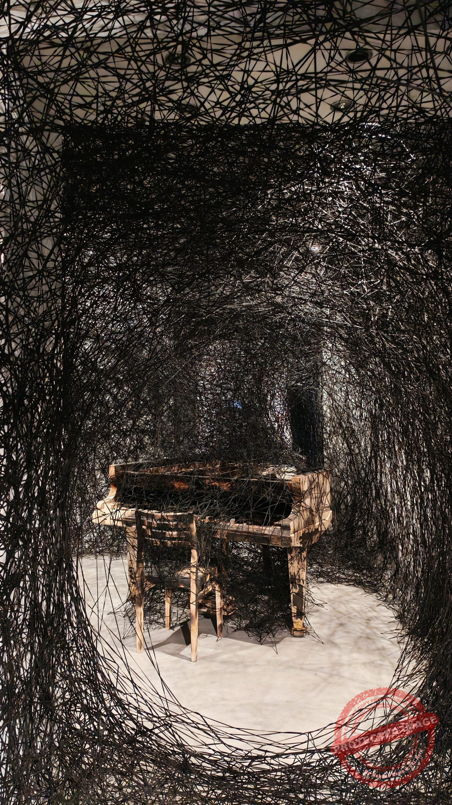 MOSTRA CHIHARU SHIOTA AL MAO DI TORINO 2